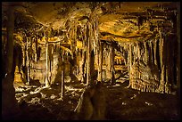 The Swamp, Lehman Cave. Great Basin National Park ( color)