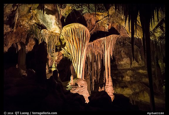 Parachute Shields in Grand Palace, Lehman Cave. Great Basin National Park (color)