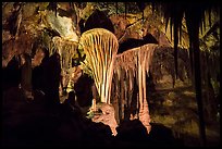 Parachute Shields in Grand Palace, Lehman Cave. Great Basin National Park ( color)