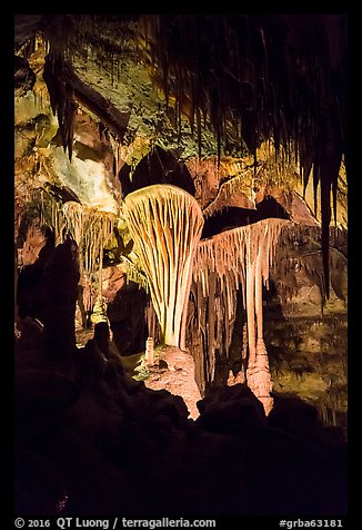 Parachute Shields, Lehman Cave. Great Basin National Park (color)
