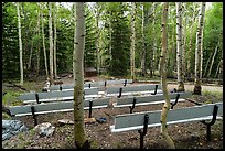 Amphitheater, Wheeler Peak Campground. Great Basin National Park, Nevada, USA.