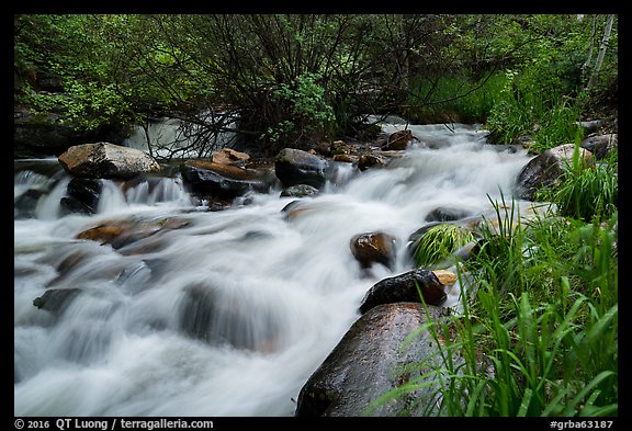 Baker Creek. Great Basin National Park (color)