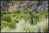 Grey Cliffs. Great Basin National Park ( color)