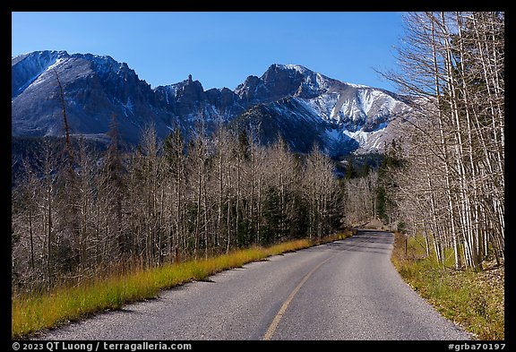 Wheeler Peak with bare aspen from Wheeler Peak Scenic Drive. Great Basin National Park, Nevada, USA.