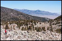 Visitor looking, Wheeler Cirque. Great Basin National Park ( color)