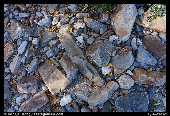 Close up of rocks in dry riverbed, Snake Creek. Great Basin National Park (color)