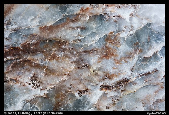 Rock eetail, Snake Creek. Great Basin National Park (color)