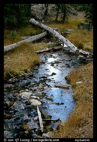 Snake Creek in fall. Great Basin National Park, Nevada, USA.