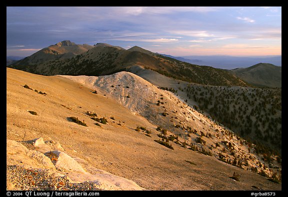 Wheeler Peak and Snake range seen from Mt Washington, sunrise. Great Basin National Park (color)