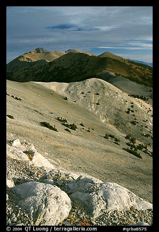 Wheeler Peak and Snake range seen from Mt Washington, morning. Great Basin National Park, Nevada, USA.