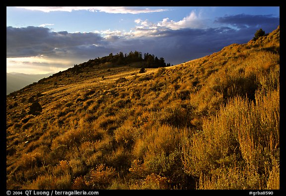 Sage covered slopes at sunset, Snake Range. Great Basin National Park (color)