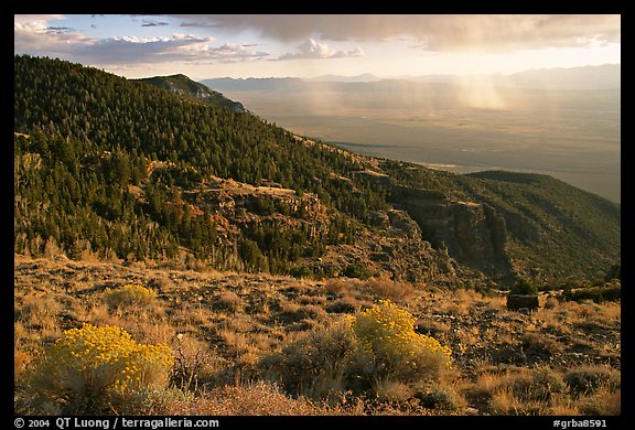 Sage covered slopes and Spring Valley. Great Basin National Park (color)