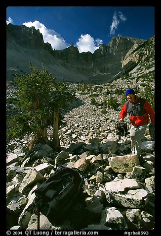 Photographer in Wheeler Peak cirque. Great Basin National Park, Nevada, USA.