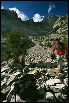 Photographer in Wheeler Peak cirque. Great Basin National Park, Nevada, USA. (color)