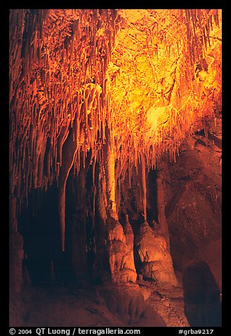 Soda Straws formations in Lehman Cave. Great Basin National Park, Nevada, USA.