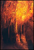 Soda Straws formations in Lehman Cave. Great Basin National Park, Nevada, USA. (color)