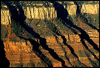 Canyon walls from Bright Angel Point, sunrise. Grand Canyon  National Park, Arizona, USA.