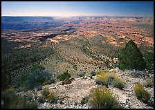 Esplanade from  North Rim, morning. Grand Canyon National Park, Arizona, USA.