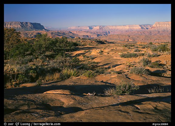 Rock slabs on  Esplanade, early morning. Grand Canyon National Park, Arizona, USA.