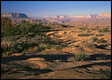 Rock slabs on  Esplanade, early morning. Grand Canyon National Park, Arizona, USA. (color)