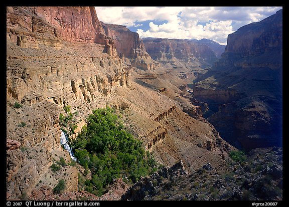 Thunder Spring Oasis at the mounth of Tapeats Creek secondary canyon. Grand Canyon  National Park (color)