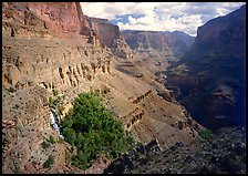 Thunder Spring Oasis at the mounth of Tapeats Creek secondary canyon. Grand Canyon  National Park ( color)