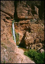 Deer Creek Falls. Grand Canyon National Park, Arizona, USA.