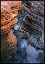 Red sandstone gorge carved by Deer Creek. Grand Canyon National Park, Arizona, USA. (color)