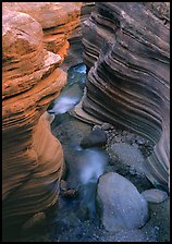 Red sandstone gorge carved by Deer Creek. Grand Canyon  National Park ( color)