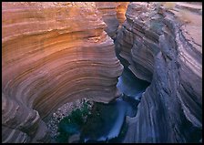 Slot canyon, Deer Creek Narrows. Grand Canyon National Park, Arizona, USA.