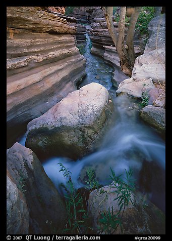 Entrance of Deer Creek Narrows. Grand Canyon National Park (color)