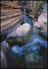 Entrance of Deer Creek Narrows. Grand Canyon National Park, Arizona, USA. (color)