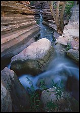 Entrance of Deer Creek Narrows. Grand Canyon  National Park ( color)