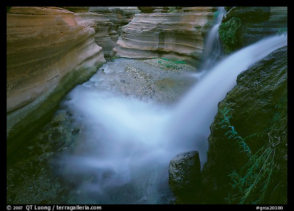 Cascade of Deer Creek. Grand Canyon National Park, Arizona, USA.