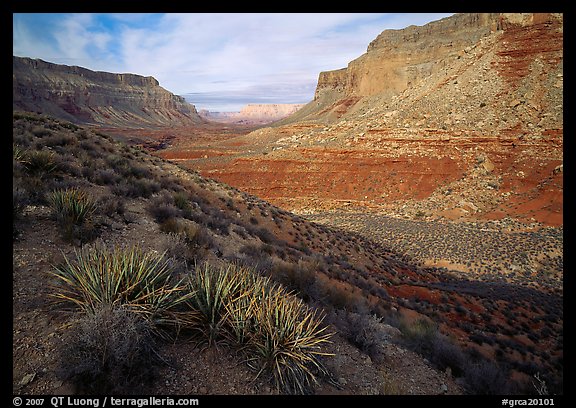 Havasu Canyon, afternoon. Grand Canyon  National Park (color)