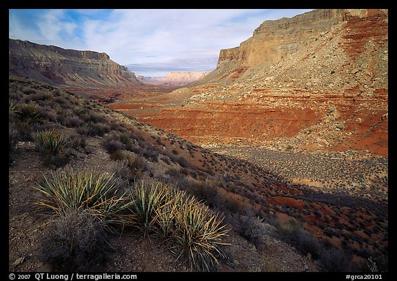 Havasu Canyon, afternoon. Grand Canyon National Park (color)