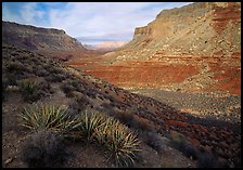 Havasu Canyon, afternoon. Grand Canyon  National Park ( color)