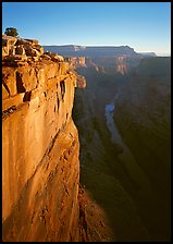 Cliff and Colorado River from Toroweap, sunrise. Grand Canyon  National Park ( color)