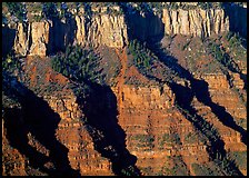 Canyon walls from Bright Angel Point, sunrise. Grand Canyon National Park, Arizona, USA.