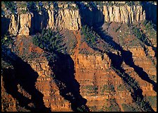 Canyon walls from Bright Angel Point, sunrise. Grand Canyon National Park ( color)