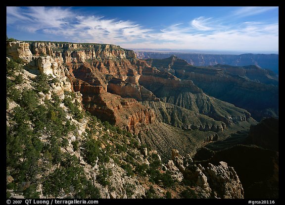 Rim near Cape Royal. Grand Canyon  National Park (color)