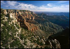 Rim near Cape Royal. Grand Canyon National Park, Arizona, USA.