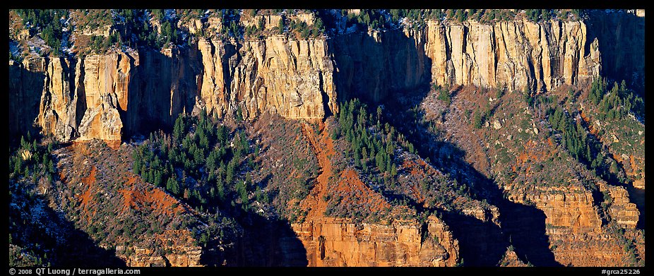 Canyon rim. Grand Canyon National Park (color)