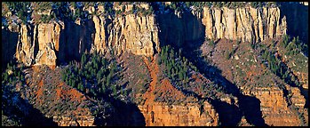 Canyon rim. Grand Canyon National Park (Panoramic color)