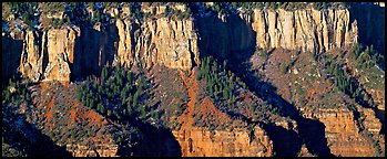 Canyon rim. Grand Canyon  National Park (Panoramic color)