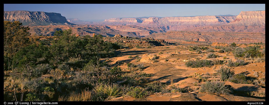 Esplanade Plateau scenery. Grand Canyon National Park (color)