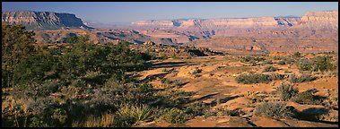 Esplanade Plateau scenery. Grand Canyon National Park (Panoramic color)