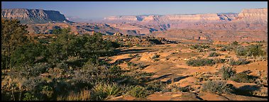 Esplanade Plateau scenery. Grand Canyon  National Park (Panoramic color)