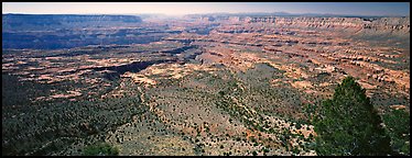 Plateau nested inside canyon. Grand Canyon  National Park (Panoramic color)