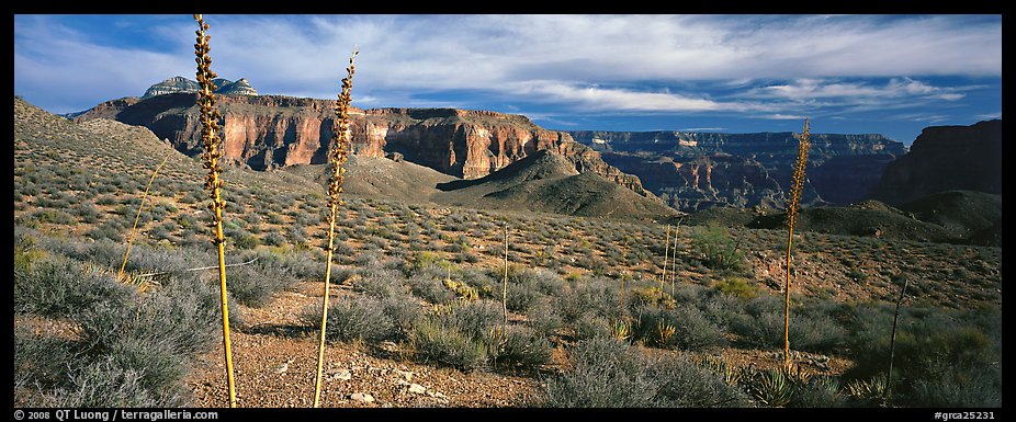 Inner Canyon scenery. Grand Canyon National Park (color)